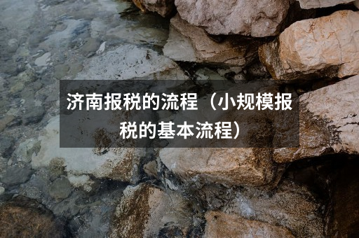 济南报税的流程(小规模报税的基本流程)