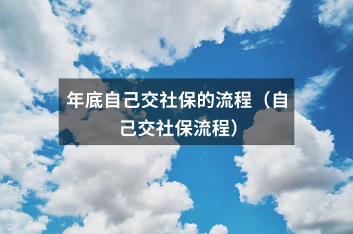 年底自己交社保的流程(自己交社保流程)