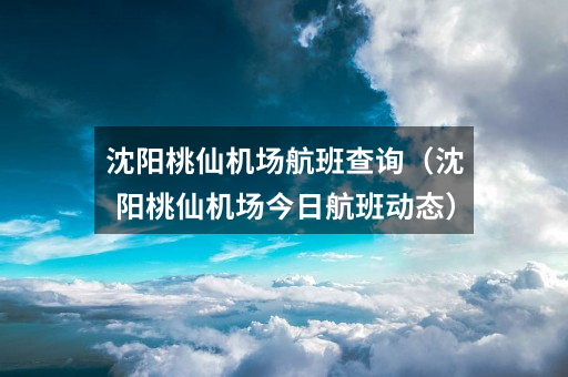 沈阳桃仙机场航班查询(沈阳桃仙机场今日航班动态)