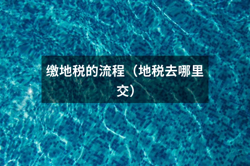 缴地税的流程(地税去哪里交)