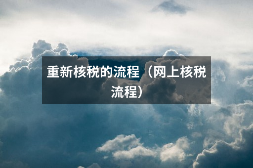重新核税的流程(网上核税流程)