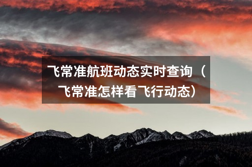 飞常准航班动态实时查询(飞常准怎样看飞行动态)