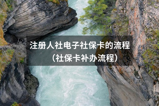 注册人社电子社保卡的流程(社保卡补办流程)