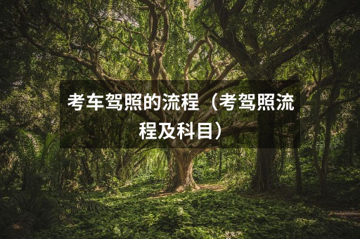 考车驾照的流程(考驾照流程及科目)
