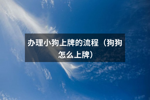 办理小狗上牌的流程(狗狗怎么上牌)