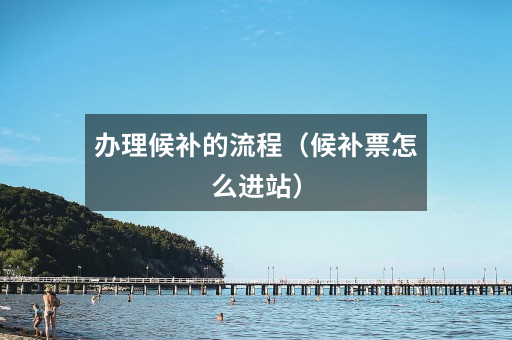 办理候补的流程(候补票怎么进站)