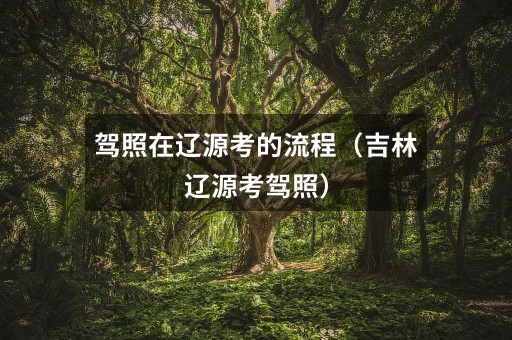 驾照在辽源考的流程(吉林辽源考驾照)