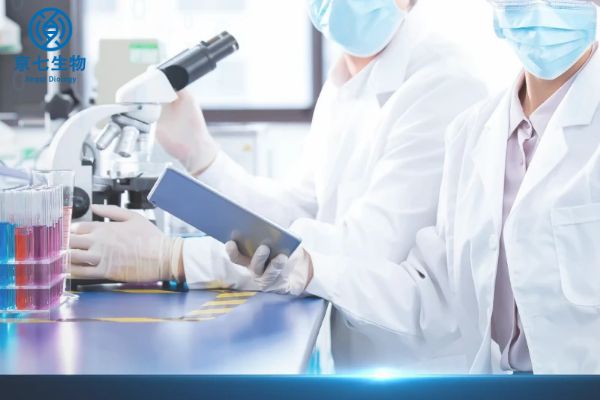 北京做亲子鉴定费用大概多少钱