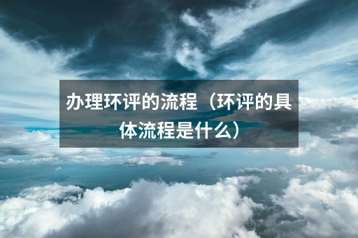 办理环评的流程(环评的具体流程是什么)