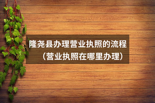 隆尧县办理营业执照的流程(营业执照在哪里办理)