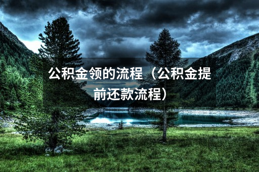 公积金领的流程(公积金提前还款流程)