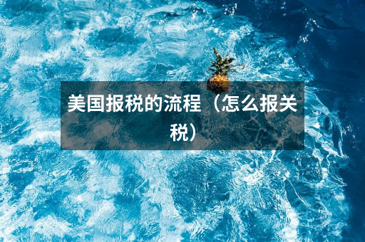 美国报税的流程(怎么报关税)