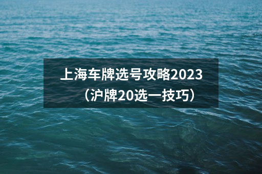 上海车牌选号攻略2023（沪牌20选一技巧）