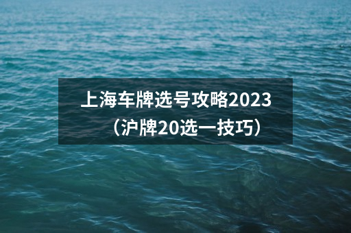 上海车牌选号攻略2023(沪牌20选一技巧)