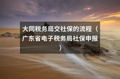 大同税务局交社保的流程（广东省电子税务局社保申报）