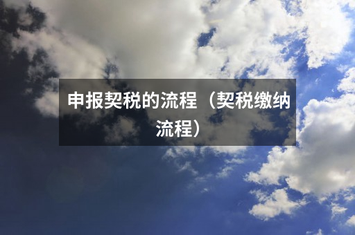 申报契税的流程（契税缴纳流程）