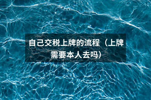 自己交税上牌的流程(上牌需要本人去吗)