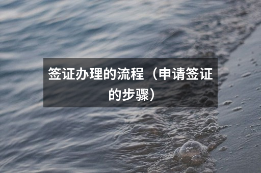 签证办理的流程(申请签证的步骤)
