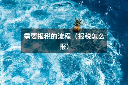 需要报税的流程(报税怎么报)