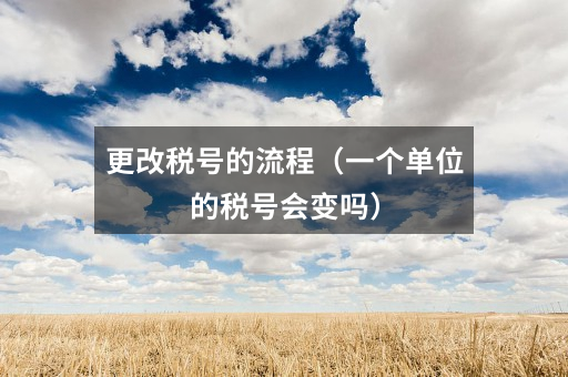 更改税号的流程(一个单位的税号会变吗)