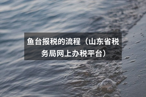 鱼台报税的流程(山东省税务局网上办税平台)