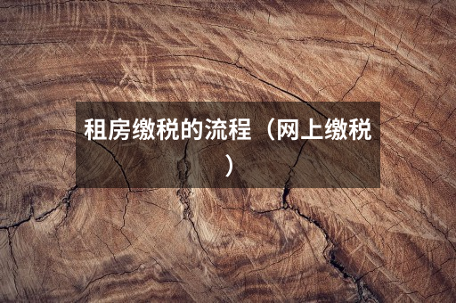 租房缴税的流程（网上缴税）
