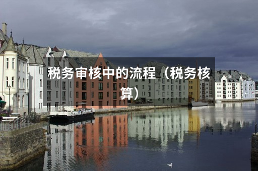 税务审核中的流程(税务核算)