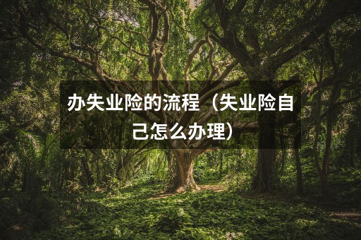 办失业险的流程（失业险自己怎么办理）