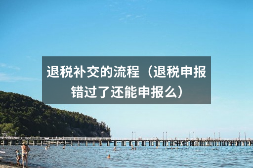 退税补交的流程(退税申报错过了还能申报么)