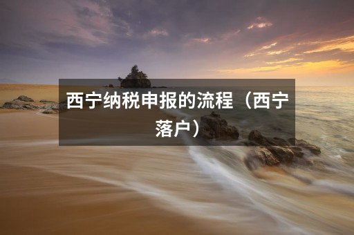 西宁纳税申报的流程(西宁落户)