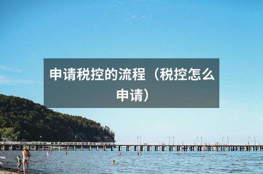 申请税控的流程（税控怎么申请）