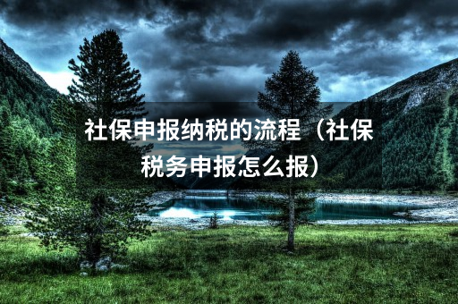 社保申报纳税的流程(社保税务申报怎么报)