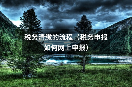 税务清缴的流程（税务申报如何网上申报）