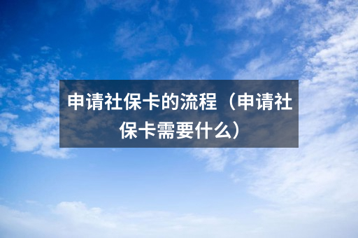 申请社保卡的流程（申请社保卡需要什么）