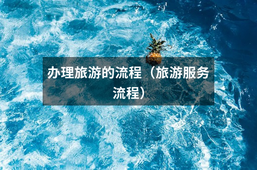 办理旅游的流程(旅游服务流程)