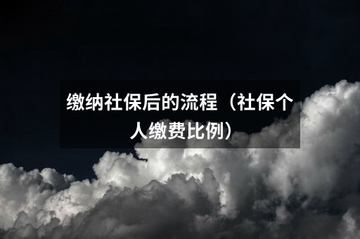 缴纳社保后的流程(社保个人缴费比例)
