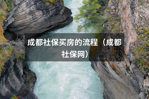 成都社保买房的流程(成都社保网)