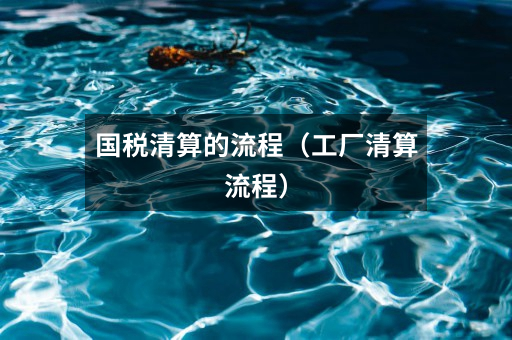 国税清算的流程(工厂清算流程)
