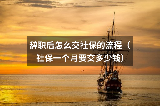 辞职后怎么交社保的流程(社保一个月要交多少钱)