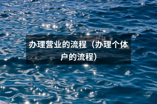 办理营业的流程(办理个体户的流程)