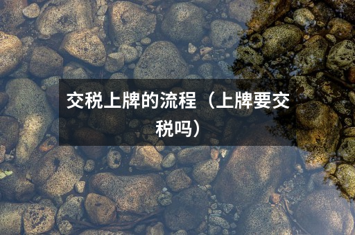 交税上牌的流程(上牌要交税吗)