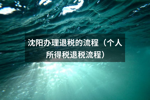 沈阳办理退税的流程（个人所得税退税流程）