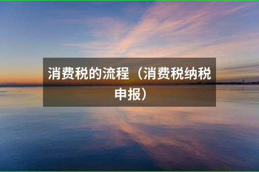 消费税的流程（消费税纳税申报）