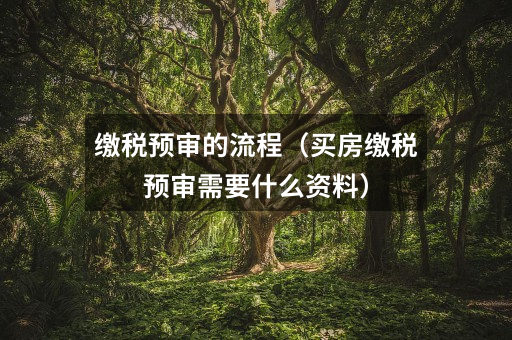 缴税预审的流程(买房缴税预审需要什么资料)