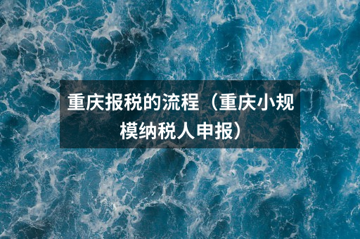 重庆报税的流程(重庆小规模纳税人申报)