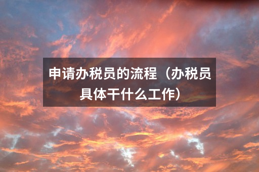 申请办税员的流程(办税员具体干什么工作)