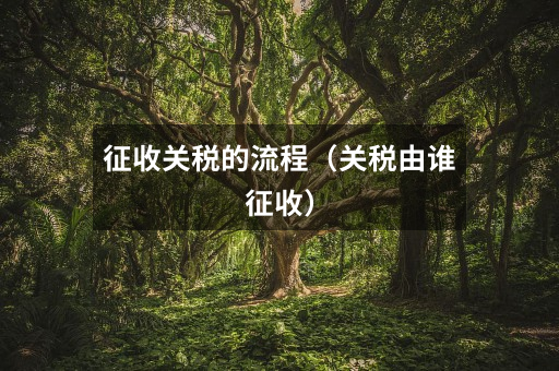 征收关税的流程(关税由谁征收)