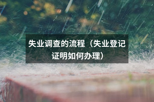 失业调查的流程(失业登记证明如何办理)