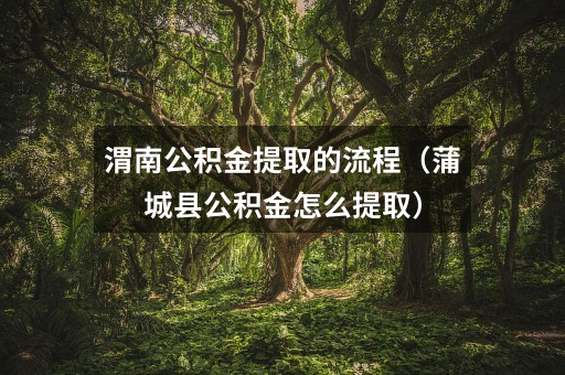 渭南公积金提取的流程(蒲城县公积金怎么提取)