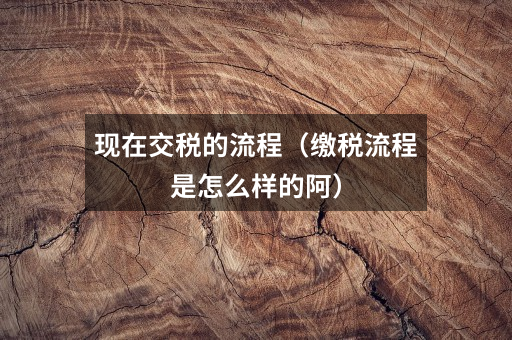 现在交税的流程(缴税流程是怎么样的阿)